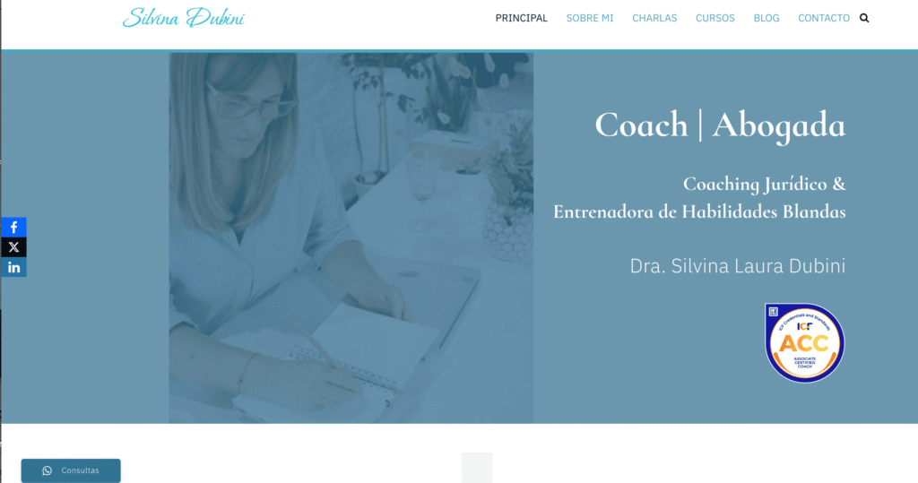 Silvina Dubini Website